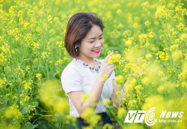 Ảnh: Thiếu nữ khoe sắc giữa cánh đồng hoa cải ở quê lúa Thái Bình