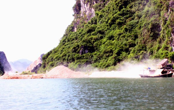 Công trường khai thác đá trên vịnh Hạ Long: Trồng 1.000 cây keo để hoàn nguyên môi trường