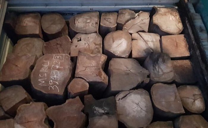 Bắt giữ 2 xe container chở 42 tấn gỗ Giáng Hương Tây Phi