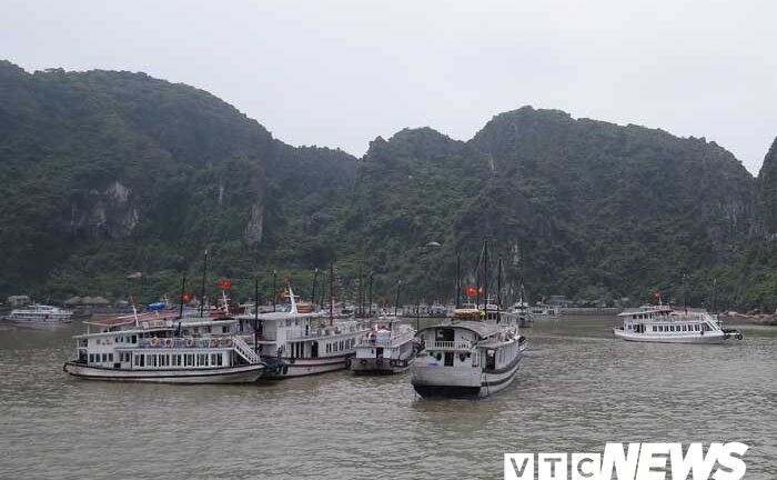 Ba thuyền trưởng bị ‘cấm cửa’ 6 tháng do vi phạm hoạt động trên vịnh Hạ Long