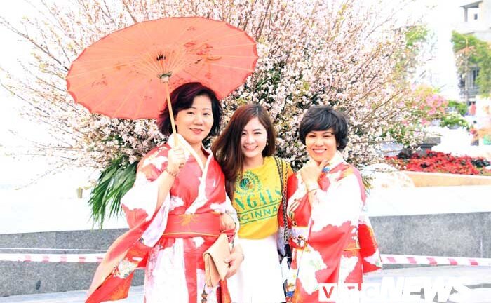 Ảnh: Hoa anh đào Nhật Bản khoe sắc trên đất Cảng khiến nhiều người thích thú