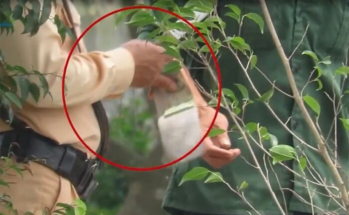 Nghi vấn CSGT ‘làm luật’: Công an tỉnh Thái Bình lên tiếng