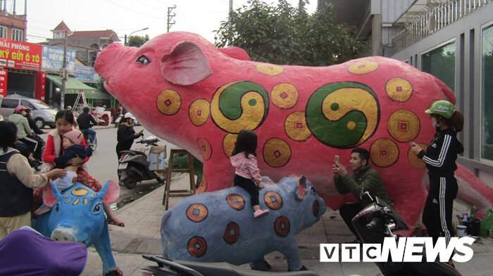 Ảnh: Xuất hiện đàn lợn vàng khổng lồ ở Hải Phòng