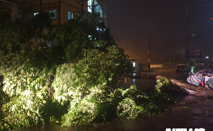 Ảnh: Bão số 3 quật đổ hàng loạt cây xanh, đường phố Quảng Ninh ngập gần nửa mét