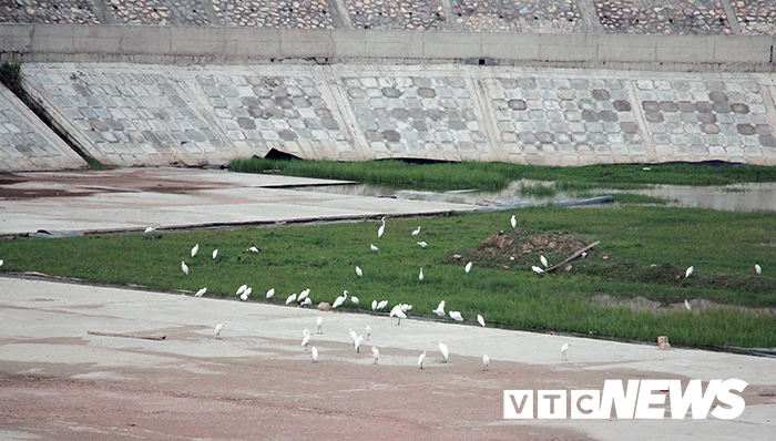 Ảnh: Dự án hồ chứa nước ngọt gần 190 tỷ xây dựng dở dang để cỏ mọc, cò đậu trên đảo Bạch Long Vĩ