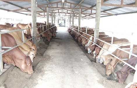 Nguy cơ mất hơn 400 triệu đồng thuế vì… sai chính tả