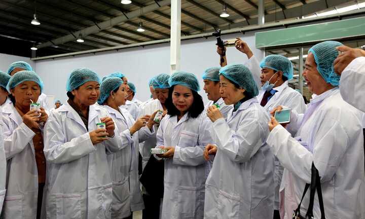 Vinamilk - Tham vọng vươn ra thế giới