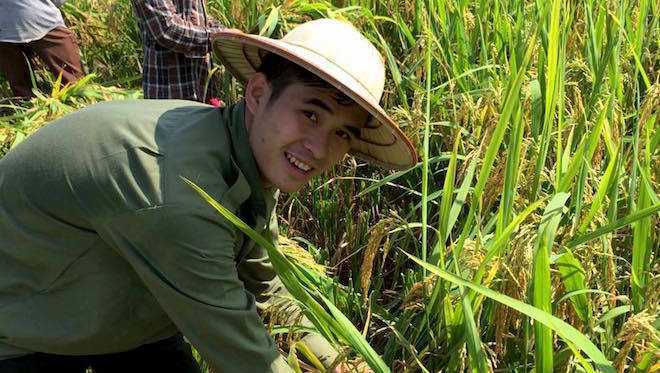 Sinh viên Học viện An ninh giúp dân gặt lúa dưới nắng nóng khiến dân mạng thích thú