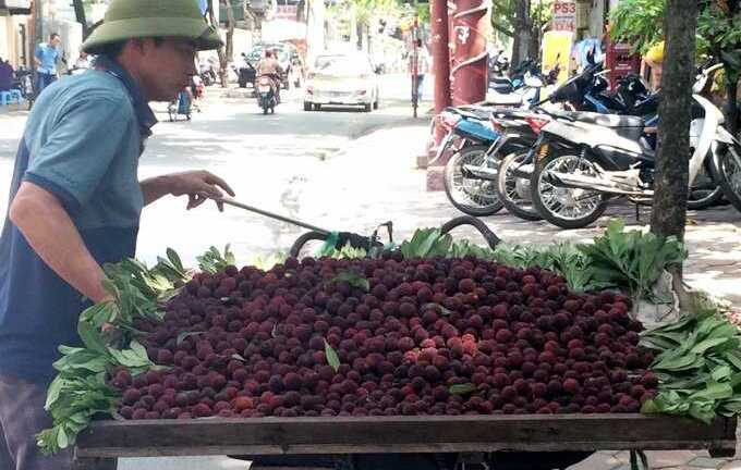 'Đặc sản lừa' thanh mai: Gây sốt rồi mất tích