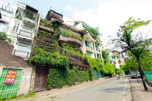 Cách chống nóng cực đơn giản cho căn nhà ngày hè