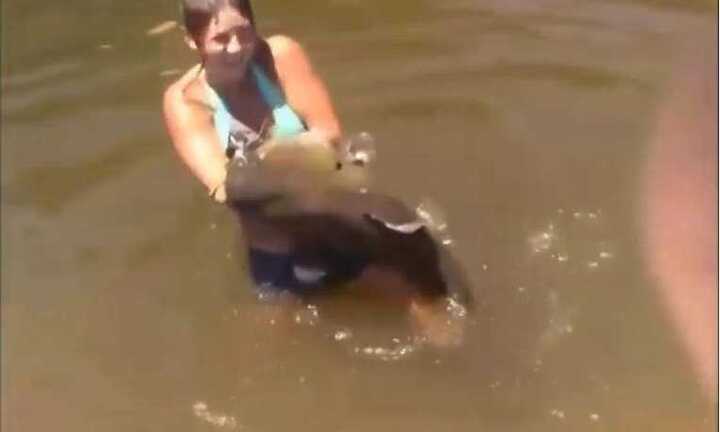 Cô gái xinh đẹp tay không bắt cá trê 'khủng'