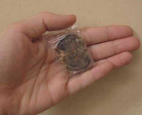 Thực hư chuyện phát tài nhờ sở hữu nhau thai mèo