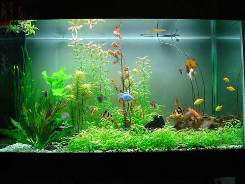 Mẹo phong thủy 'hút' tiền vào như nước