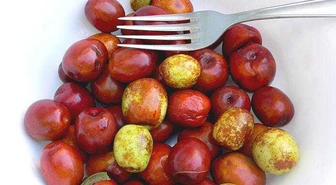 Bài thuốc chữa bệnh tuyệt vời từ táo tàu ai cũng nên biết