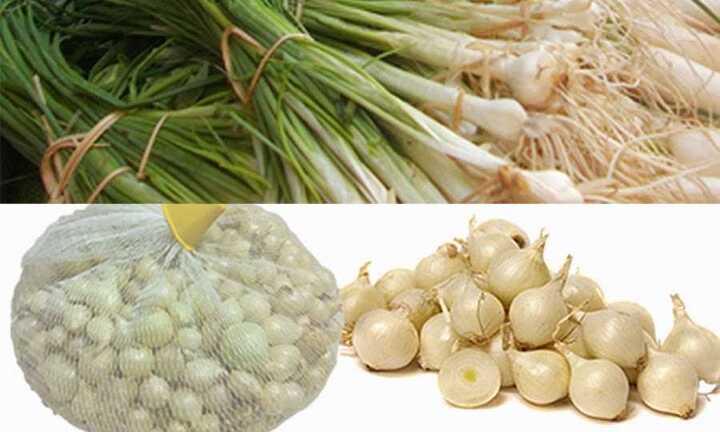 Hành tăm: 'Thần dược chữa bách bệnh' ít người biết tới