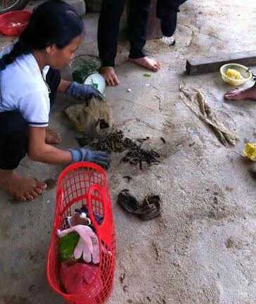 Thanh Hóa: Thương lái Trung Quốc len lỏi vùng giáp biên dụ dân bán đỉa