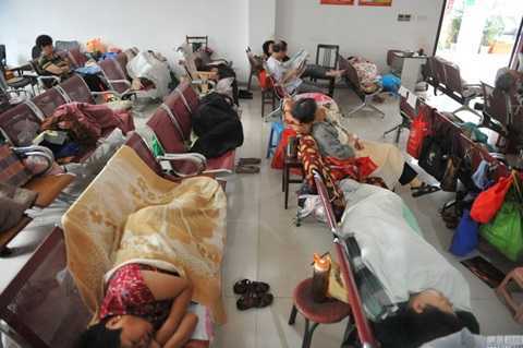 Bí ẩn phía sau hình ảnh ăn, ngủ vạ vật ở sàn chứng khoán