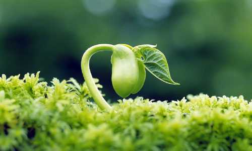 Trung tâm Nghệ thuật Lúa Non - ươm mầm tài năng nghệ thuật