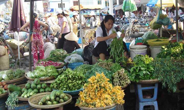 Tin bão số 1 về, người dân đổ xô đi chợ tích trữ thực phẩm