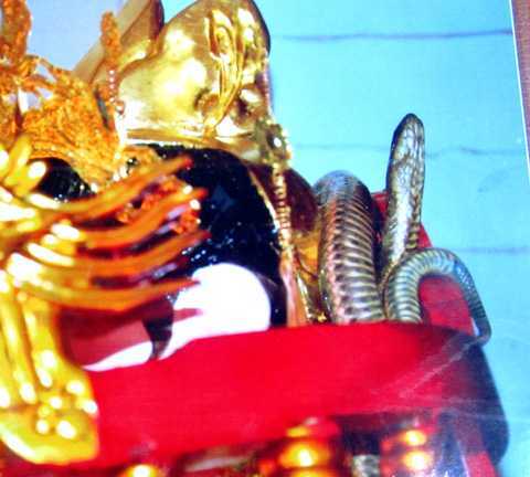 Kỳ lạ chuyện rắn liên tục xuất hiện trong ngôi đền ở Phú Thọ