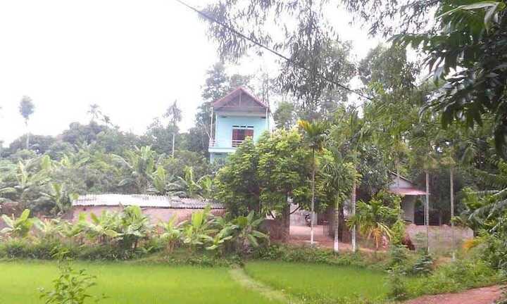 Bóc mẽ màn kịch vợ chích điện giết chồng, rồi thản nhiên mời hàng xóm sang chơi