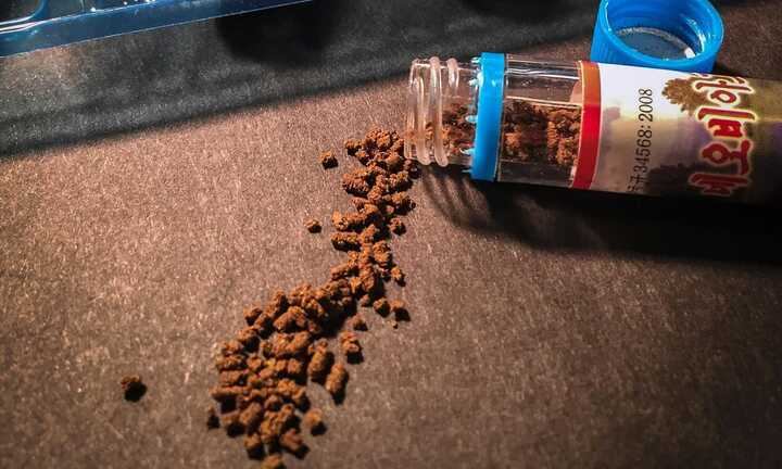 Các nhà khoa học Mỹ mổ xẻ ‘thần dược’ phòng the của Triều Tiên