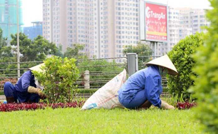 Hà Nội chi hàng chục tỷ đồng mỗi năm để... cắt cỏ, tỉa hoa