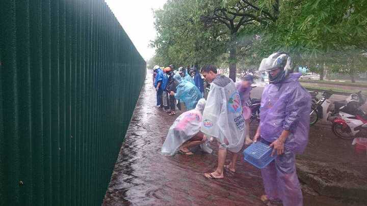 Nhộn nhịp 'lễ hội' bắt cá trên phố Thủ đô trong bão số 3