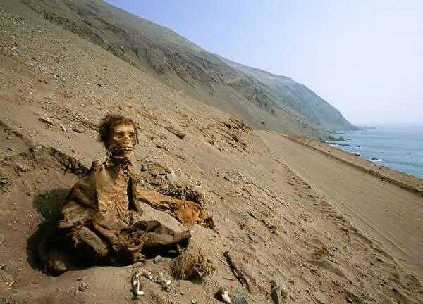 Những xác ướp kỳ bí vùng sa mạc Chile