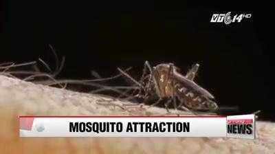 Phát hiện mới: Muỗi thích đốt người uống rượu