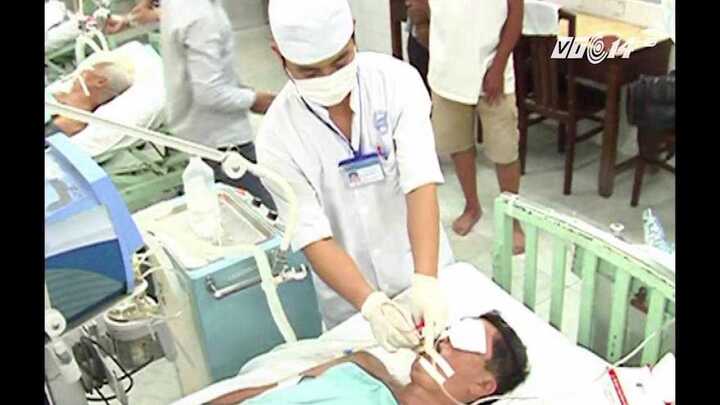 Rước họa vì ăn 'thần dược' mật động vật