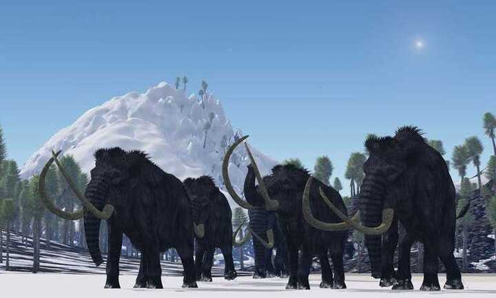 Những sự biến mất kỳ lạ nhất trong lịch sử