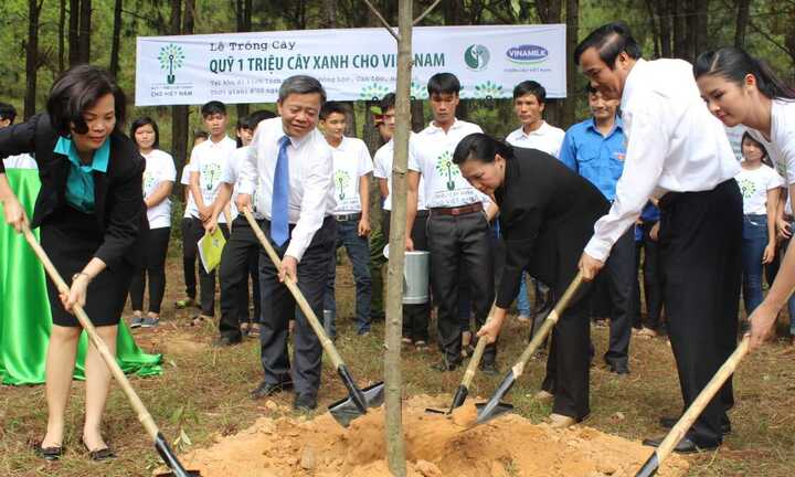 Cởi 'tấm áo hẹp' DNNN: Vinamilk thành doanh nghiệp tỷ đô