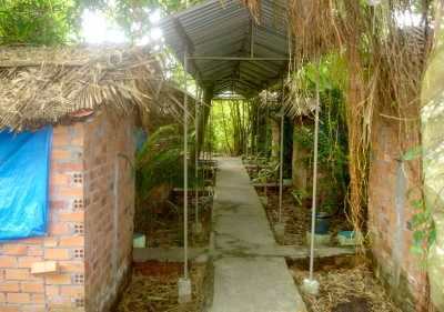 Vào chòi với nữ nhân viên khỏa thân, chủ tịch xã bị cách chức