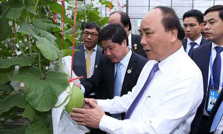 Thủ tướng thăm Khu học xá Trung ương và mô hình nông nghiệp công nghệ cao Trung Quốc