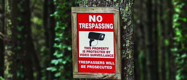 Khám phá 'mỏ vàng' người Mỹ đua nhau khai thác bán cho Trung Quốc