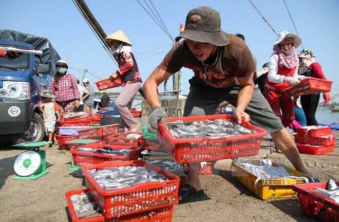 Bộ Y tế thông tin mới nhất chất lượng hải sản 4 tỉnh miền Trung