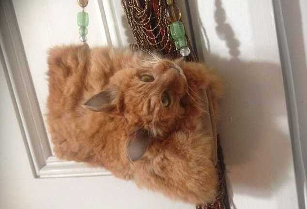 Túi xách bệnh hoạn làm từ... mèo giá 30 triệu đồng