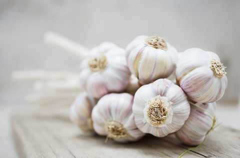 5 thực phẩm đặc biệt có lợi cho phụ nữ