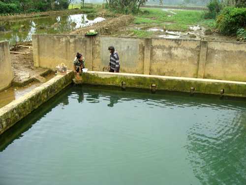 Kỳ lạ ‘khúc gỗ Thánh’ 500 tuổi như chiếc ‘khóa thần’ mở nước ở Hòa Bình