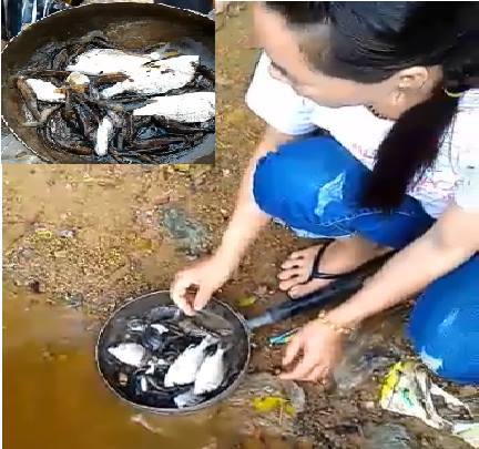 Nước sông bỗng đổi màu đỏ đục, cá chết nổi trắng