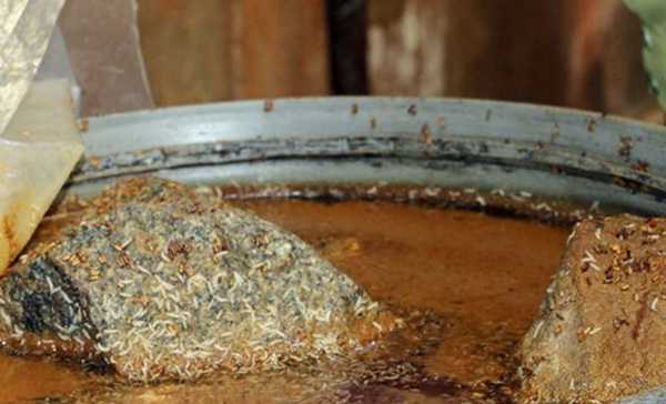 Kinh hãi phát hiện 5 tấn nước mắm lúc nhúc dòi trong cơ sở sản xuất tư nhân