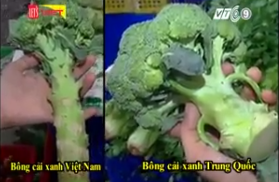 Cách phân biệt súp lơ xanh Việt Nam và Trung Quốc bằng mắt thường