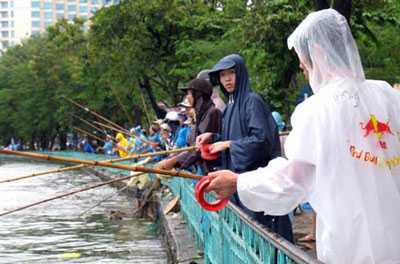 Ốc tuyệt chủng và chuyện người cảnh báo tương lai Hồ Tây