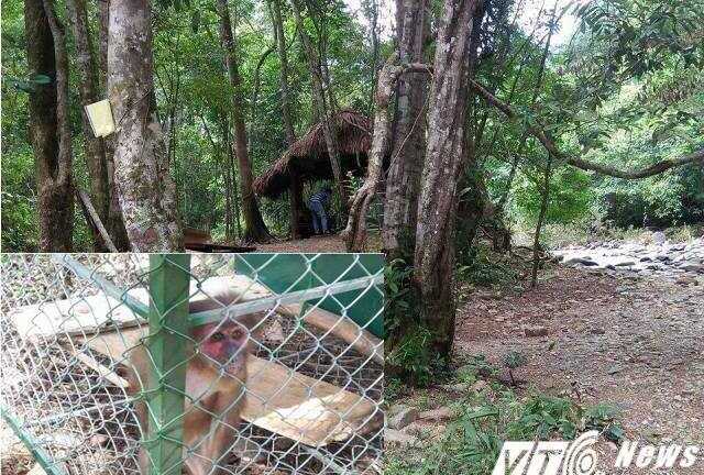 Đất rừng được 'hô biến' thành trang trại sai phép, 'quan huyện' đua nhau làm du lịch