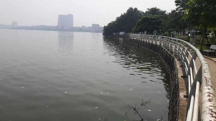 Hồ Tây: Như chưa hề xảy ra sự cố cá chết