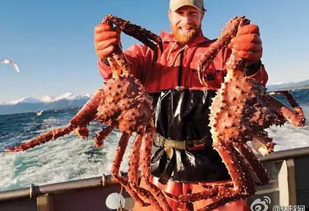 Nghề đặc biệt kiếm 650.000 USD trong 5 ngày