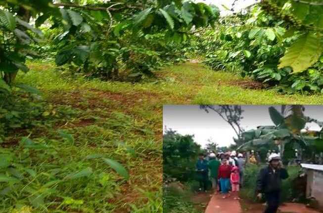 Nổ lớn như bom trên rẫy cà phê, một người chết thảm