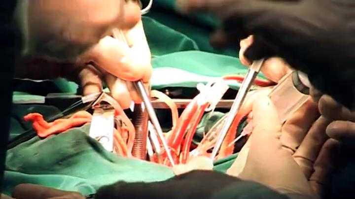 Rùng mình thâm nhập thị trường nội tạng chui