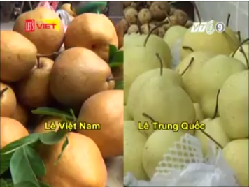 Cách đơn giản phân biệt lê Việt Nam và lê Trung Quốc